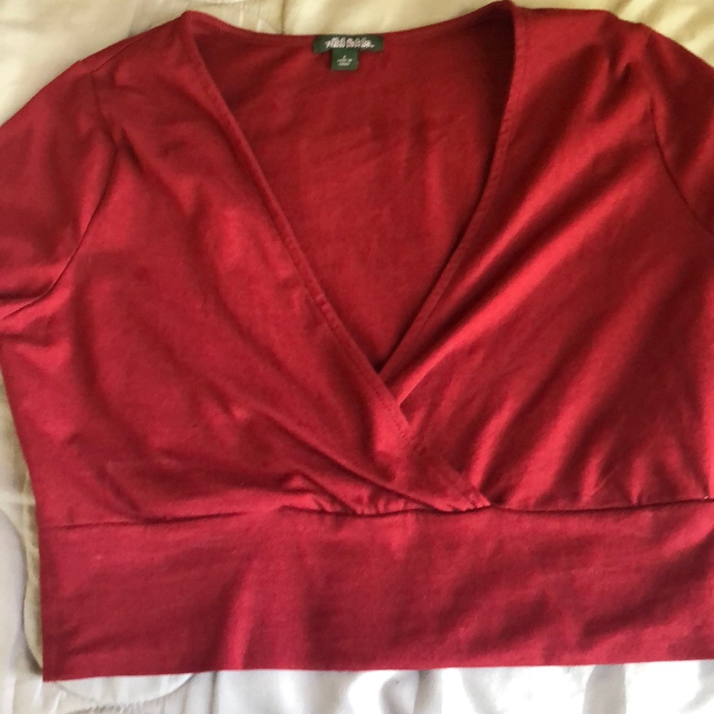 Wild Fable Crop Top